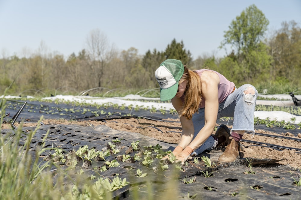Garden Maintenance Services